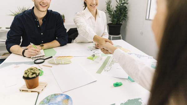 AUDITORIA AMBIENTAL E O DESENVOLVIMENTO SUSTENTÁVEL